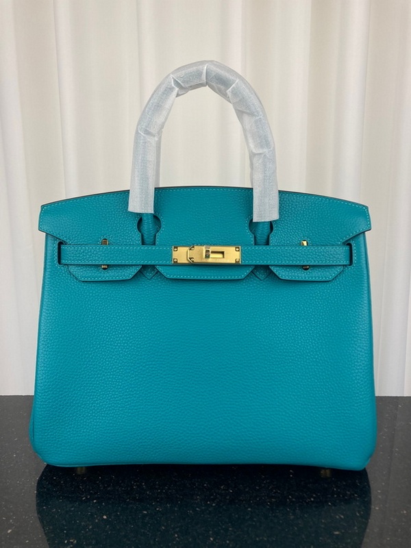 Hermes Handbags 20